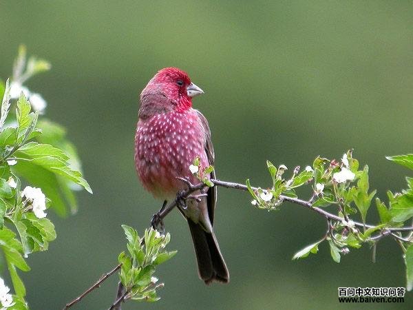 ����ȸ������