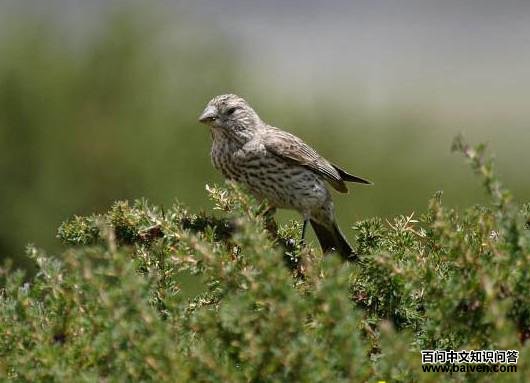 ����ȸ������