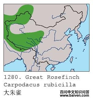 ����ȸ�����ֲ�ͼ