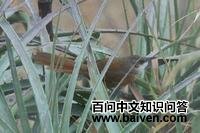 ����βȸ��ͼƬ