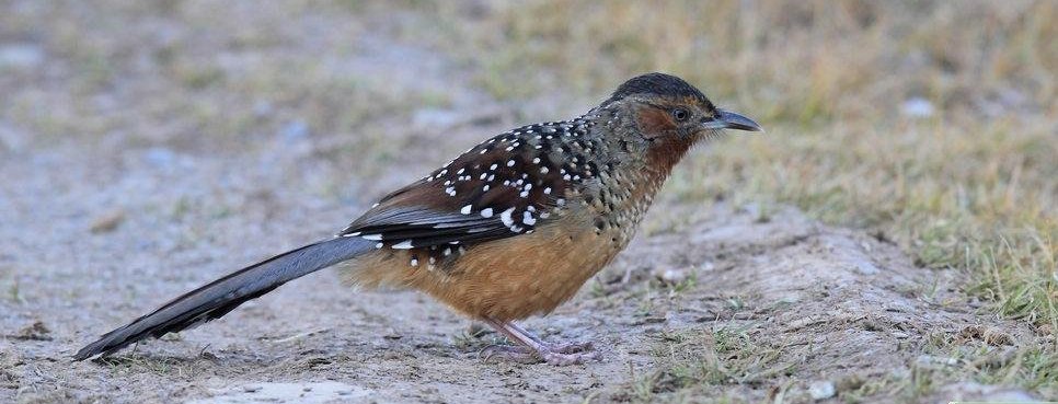 �����̵�ͼƬ