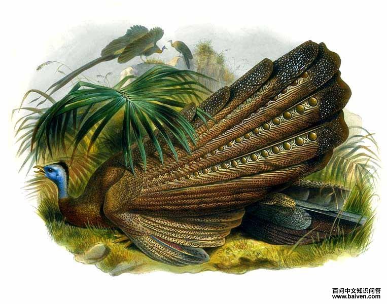 ���۰���