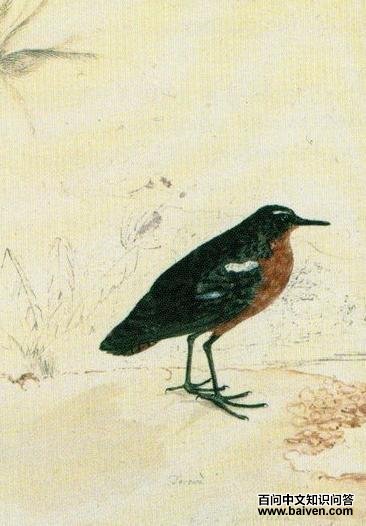 ��Ϫ�����ֵ�ͼƬ