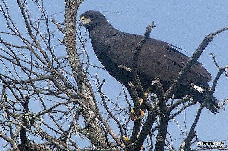 ��ڼ��\��ͼƬ