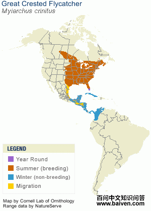 ���Ӭ���l