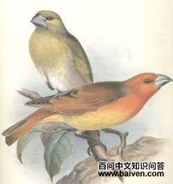 ��������ͼƬ