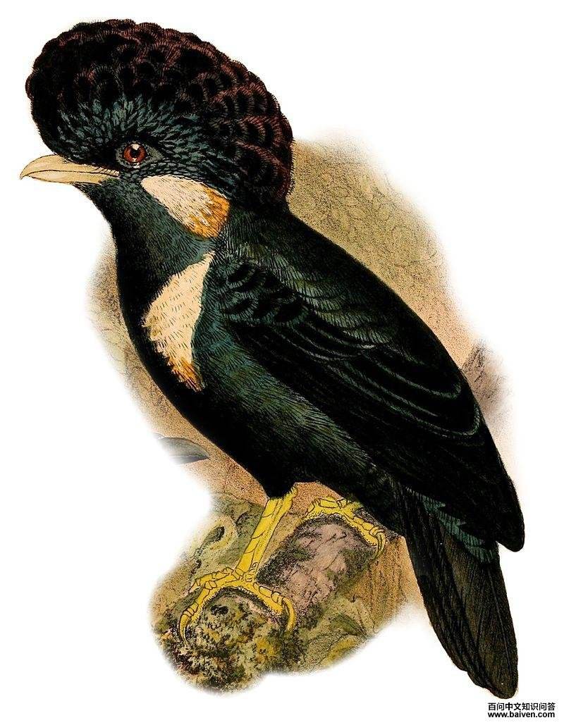 ��������ͼƬ