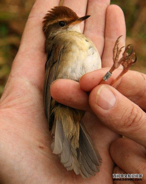 ����ݺ�Ľ�