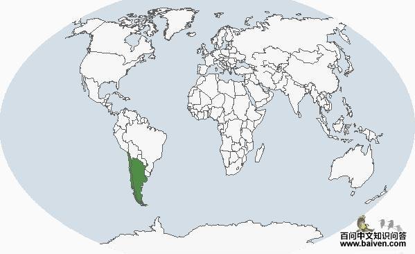 ����͢�G�f