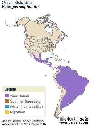 ��ʳӬ���l