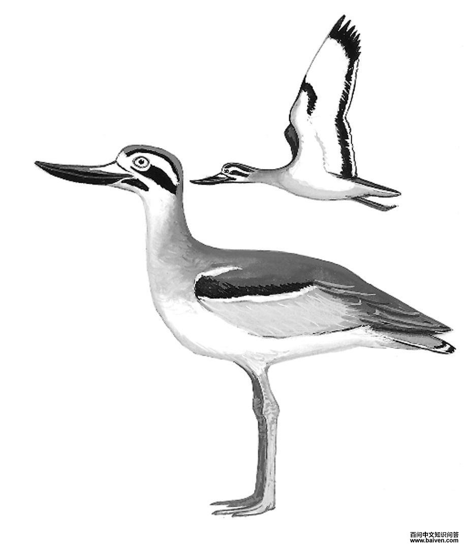 ��ʯ�a��ͼƬ