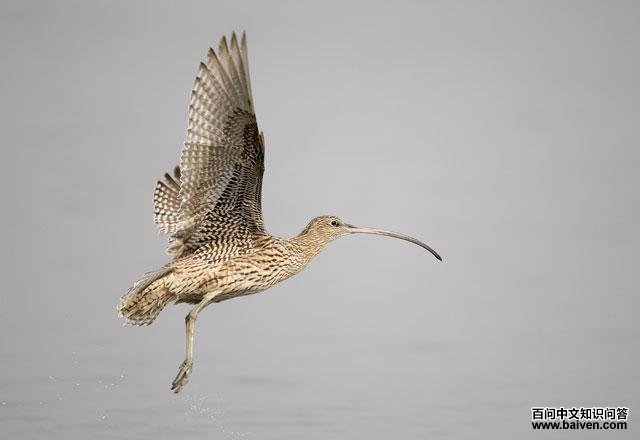 ����֣���������