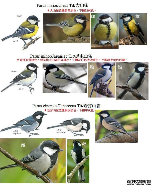 ��ɽȸ��Զ��ɽȸ���Ա�ɽȸ������Ƚ�