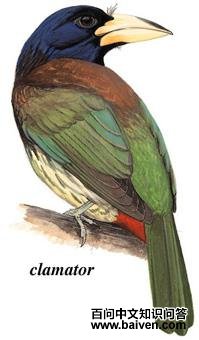 ������ľ���������