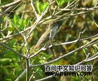 ������l��ͼƬ