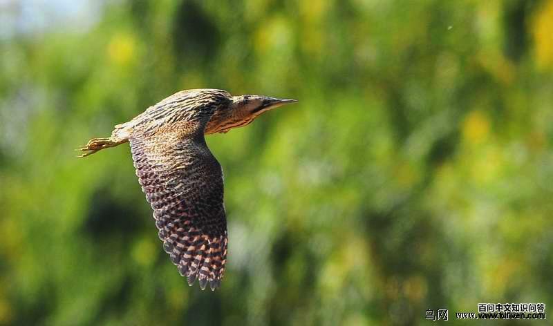 �����Z���У�������