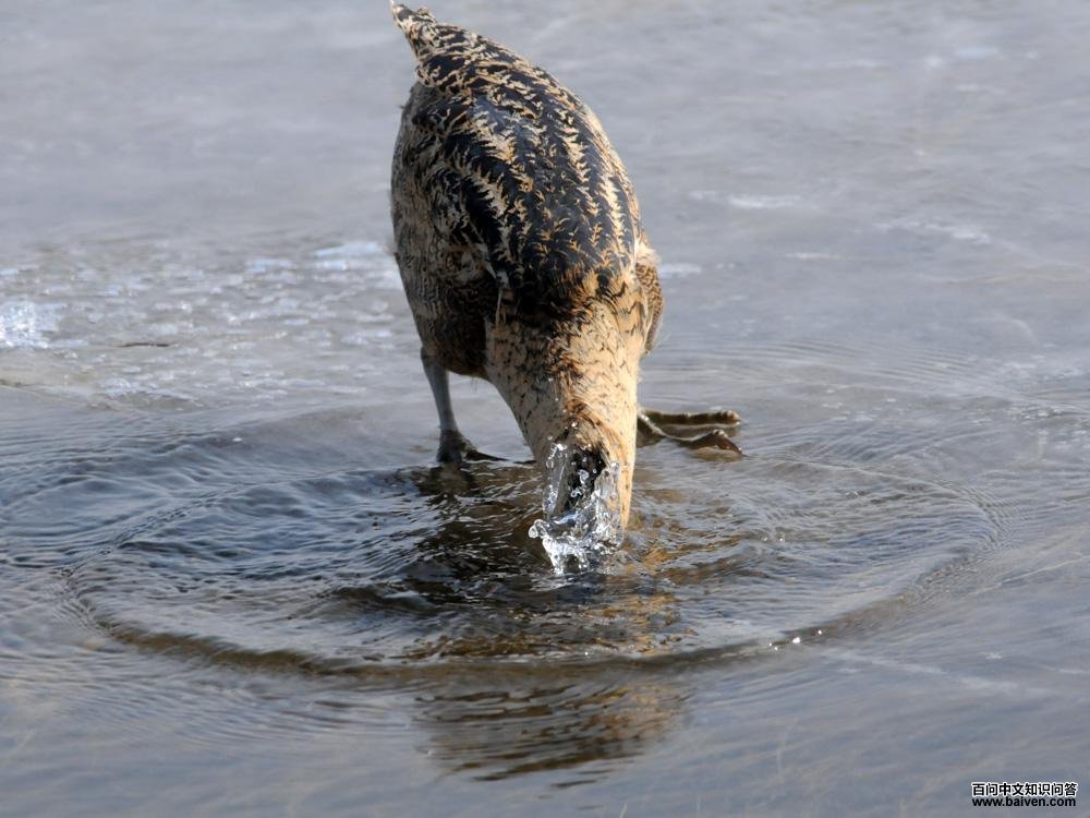 �����Z����