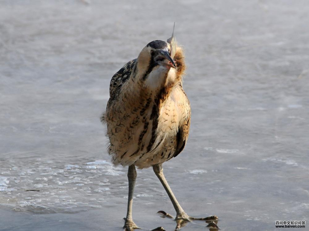 �����Z����