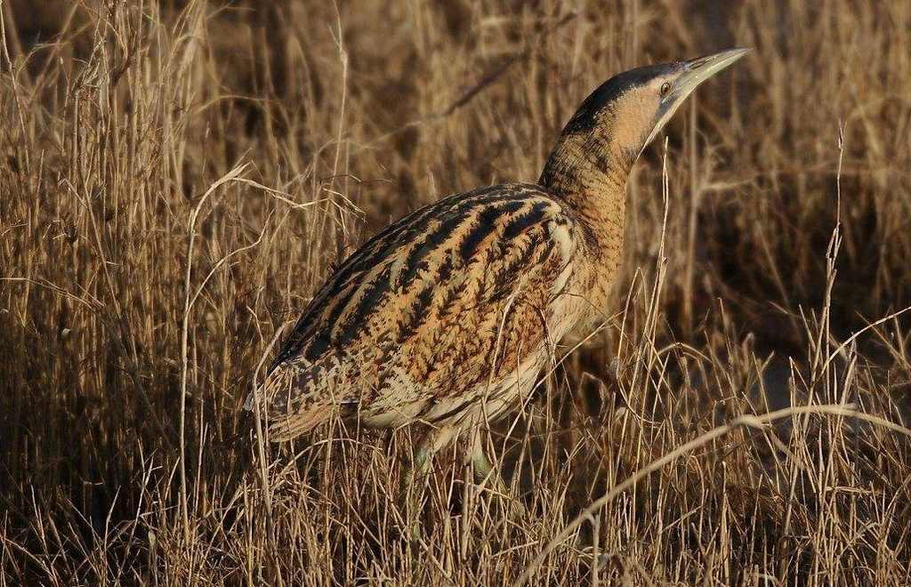 �����Z������Χ�ݴԻ�Ȼһ��