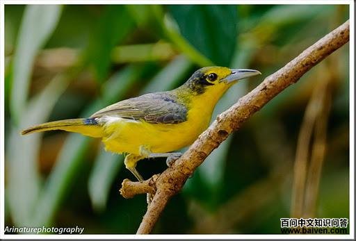 ����ȸ��