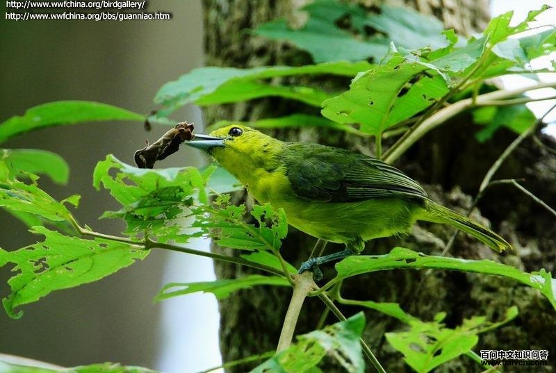 ����ȸ��