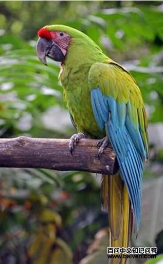 ���̽������