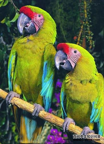 ���̽������