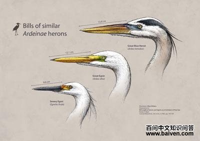 ���ͶԱȣ������أ��ϣ�������أ��У���ѩ�أ��£�