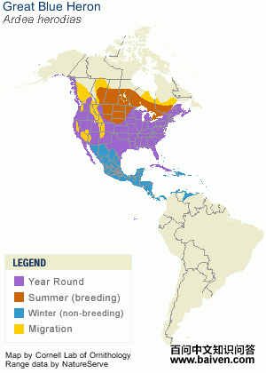 �����أ������ֲ�ͼ