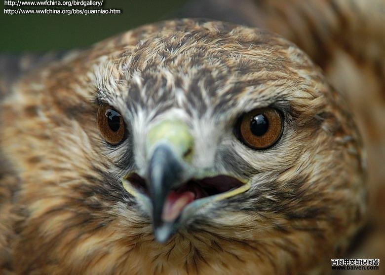 ���\��ɽ�����ɽ����־վ