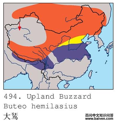 ���\�������ֲ�ͼ