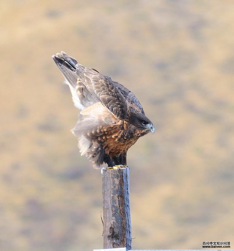 ������ɵĴ��\