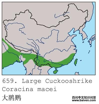 ����V�������ֲ�ͼ