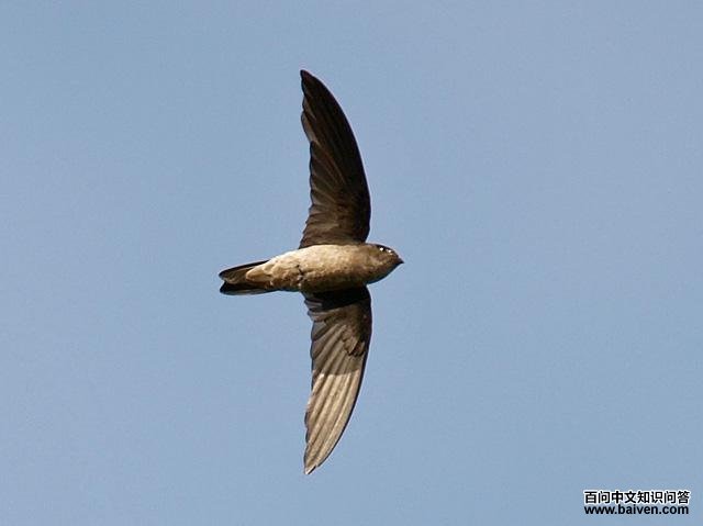 ���˿���ͼƬ