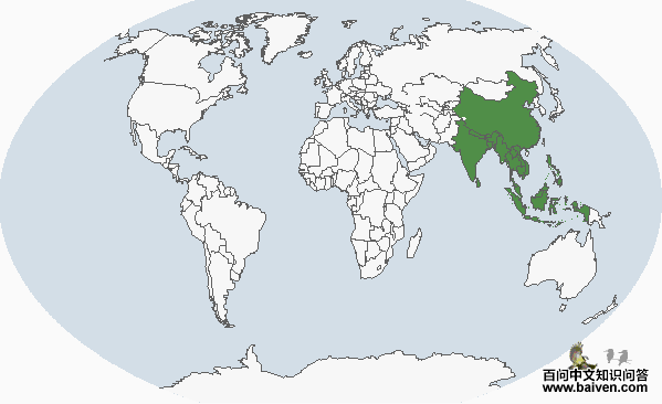 �����ľ��