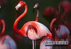 ����ٵ�ͼƬ