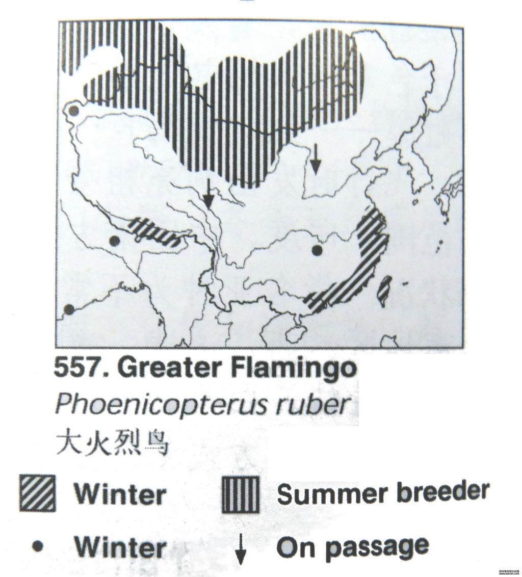 ����٣������ֲ�ͼ