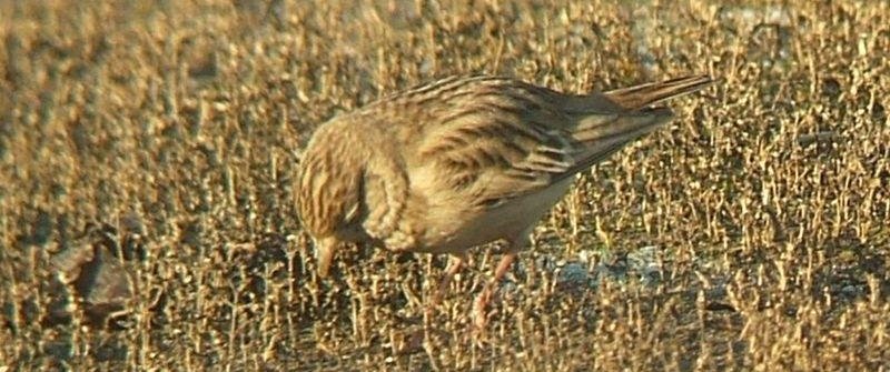 ���ֺ�����ͼƬ