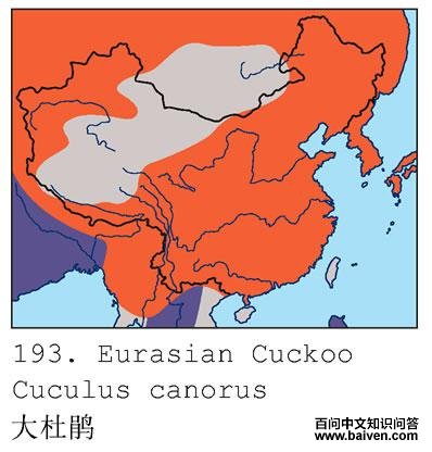 ��ž飺�����ֲ�ͼ