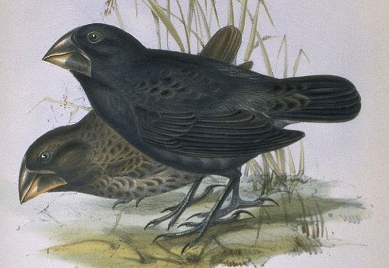 ���ȸ��ͼƬ