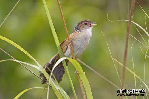 ���ݺ��ͼƬ