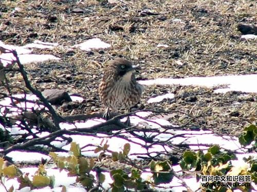 ����̵�ͼƬ