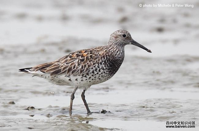 ����ֵ�ͼƬ