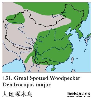 �����ľ�񣺵����ֲ�ͼ