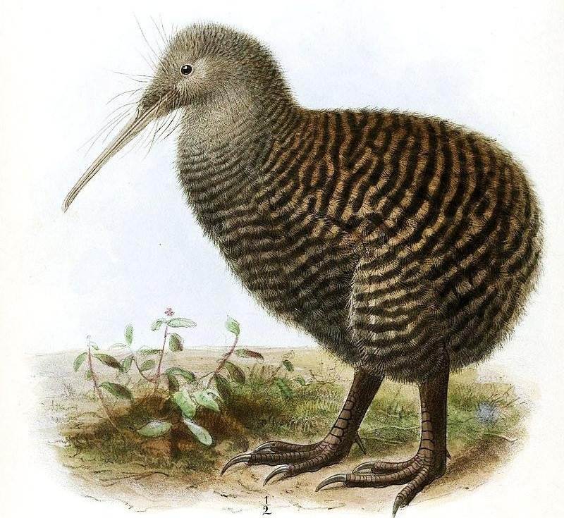 ��߼�ά��ͼƬ