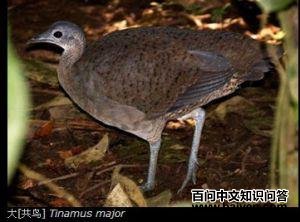 ��[����]