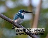 С������