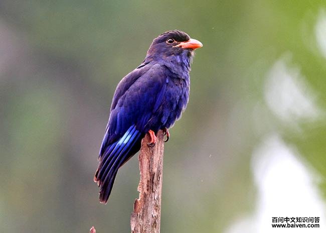 �����������ͼƬ