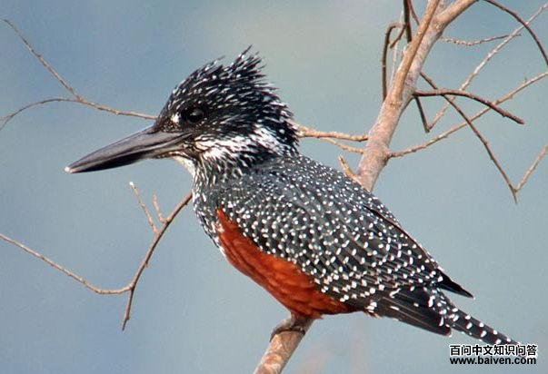 ����ƣ����㹷