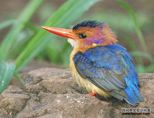 ����ƣ��ۼ�С����